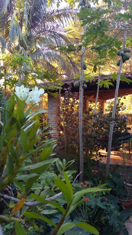 Suites Brotas City Dış mekan fotoğraf